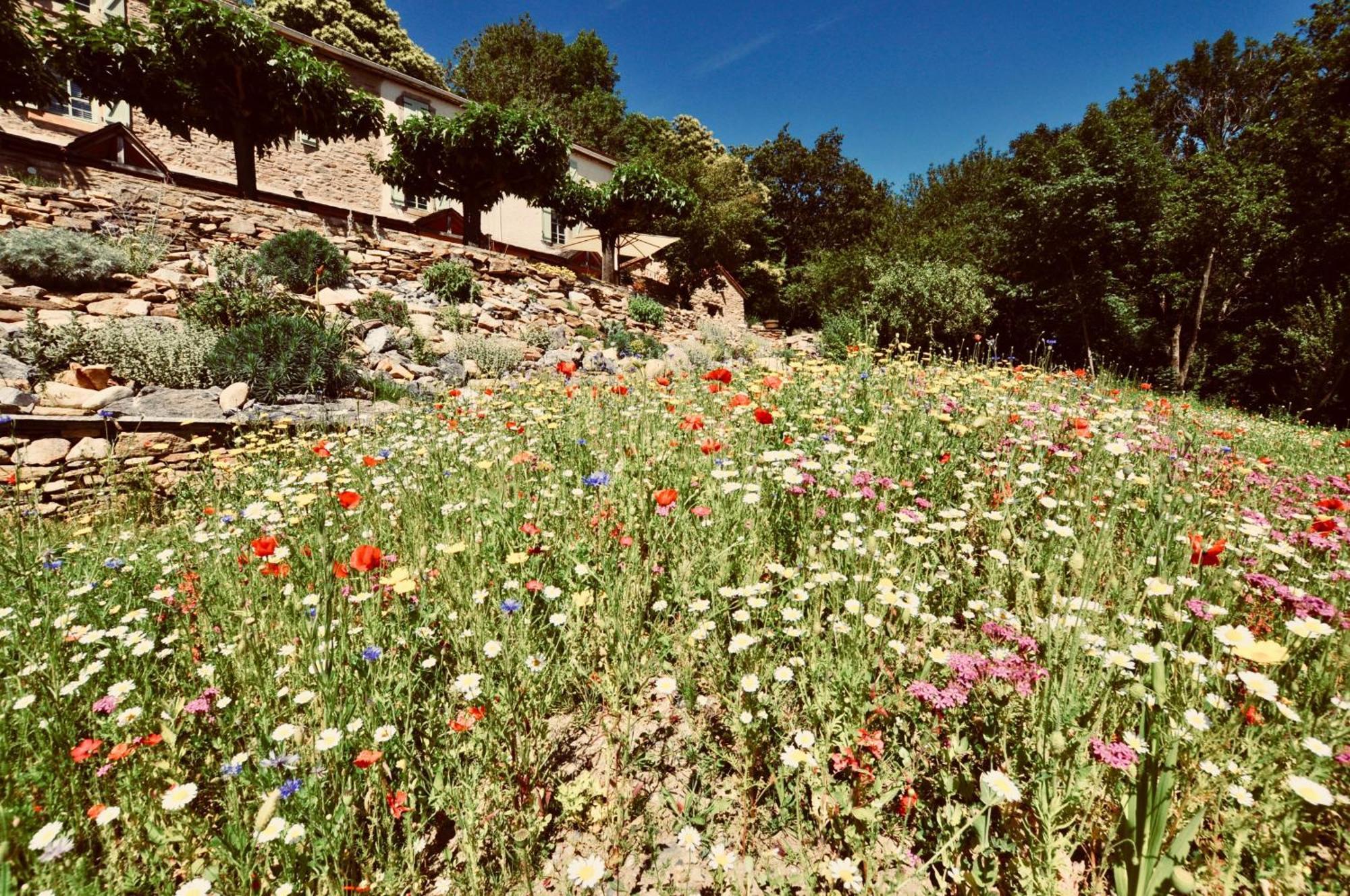 Holiday home Les Coumayres